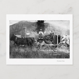 Horse Drawn Cart Vykort