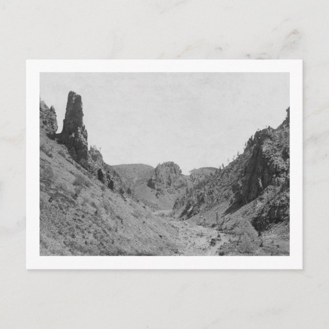 Horse Drawn Coach in Phantom Ridge Photograph Vykort (Framsida)