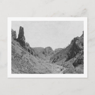 Horse Drawn Coach in Phantom Ridge Photograph Vykort