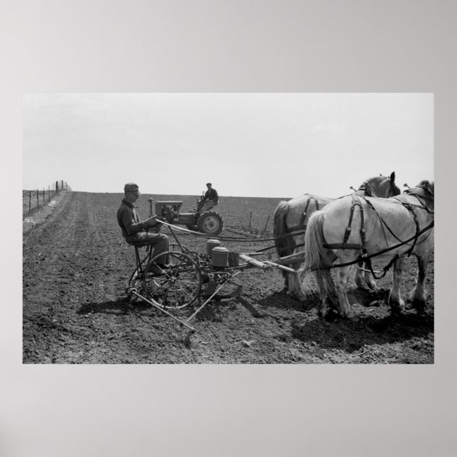Horse-Drawn Maj Planter, 1940 Poster (Framsidan)