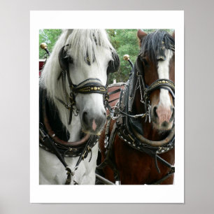 Horse Drawn Poster