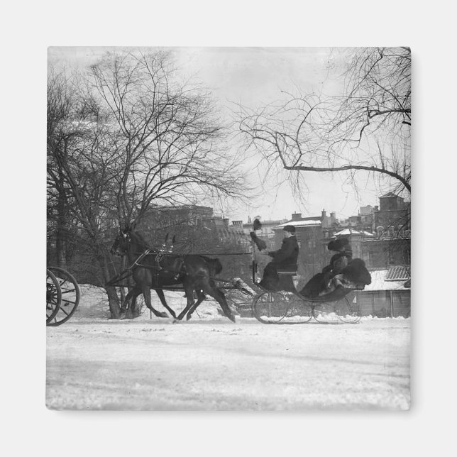 Horse Drawn Sleigh NYC Magnet (Framsidan)