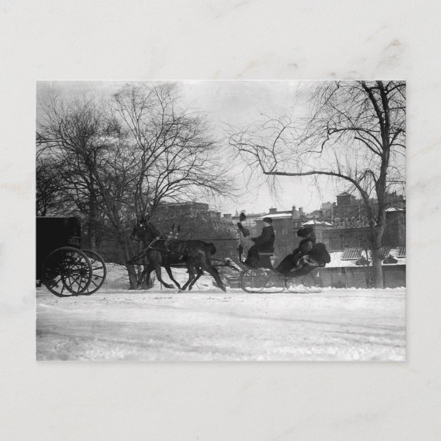 Horse Drawn Sleigh NYC Postcard Vykort (Framsida)