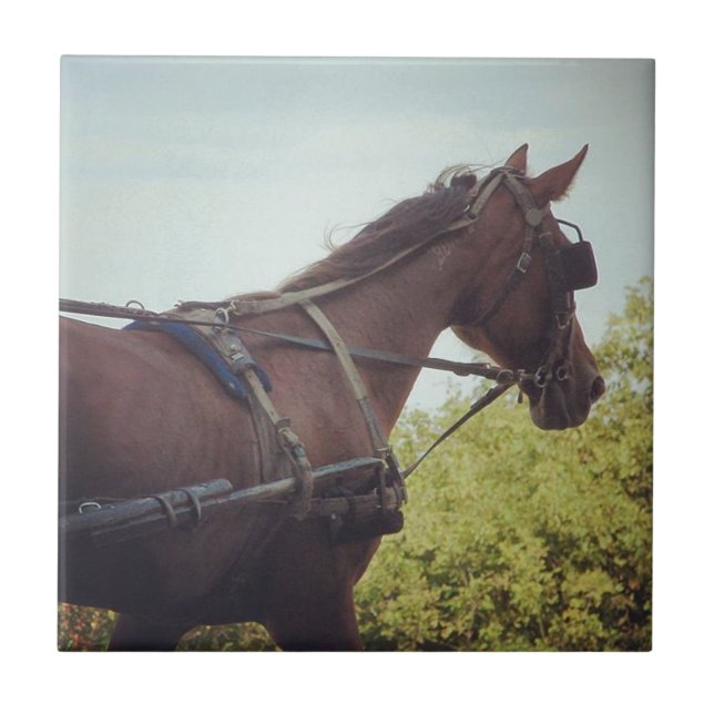 Horse Drawn Transport Kakelplatta (Framsidan)