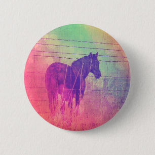 Horse Dreams Knapp