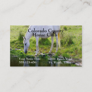 Horse Drinking Vatten Photo Print Visitkort