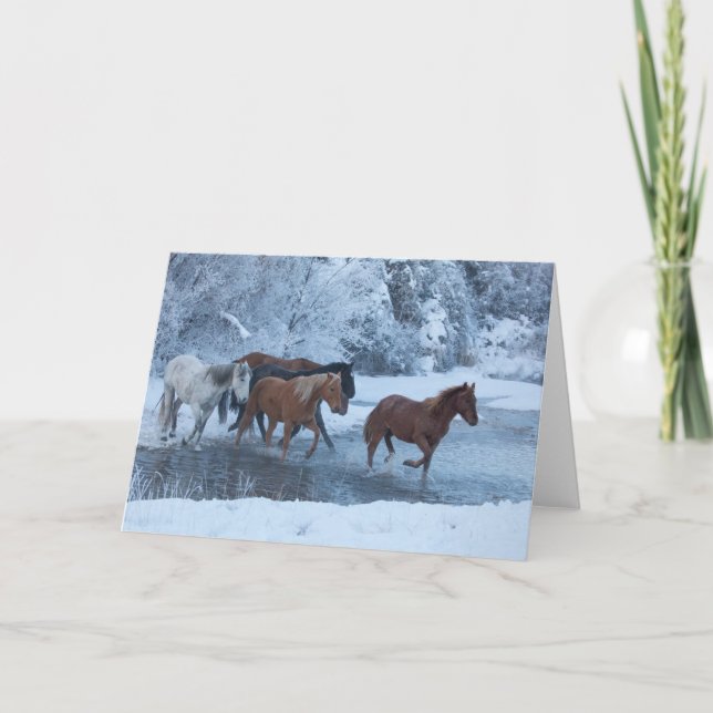 Horse Drive in Winter Kort (Framsida)