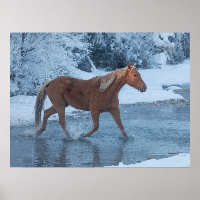 Horse Drive in Winter on Hideout Ranc Poster (Framsidan)