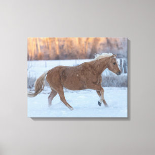 Horse Drive in Winter on Hideout Ranch Canvastryck
