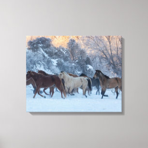 Horse Drive in Winter on Hideout Ranch Canvastryck