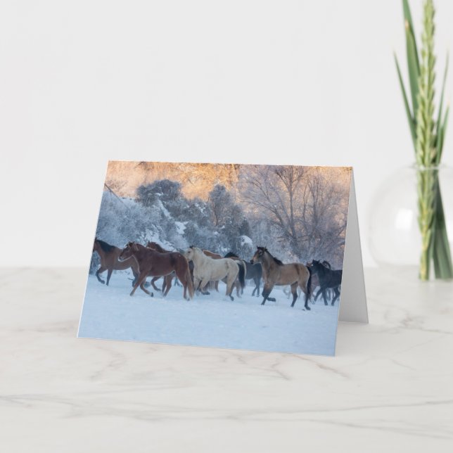 Horse Drive in Winter on Hideout Ranch Kort (Framsida)