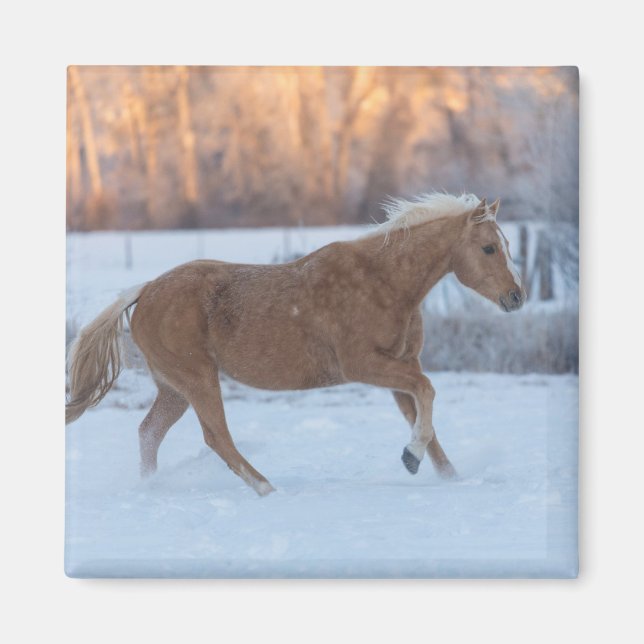 Horse Drive in Winter on Hideout Ranch Magnet (Framsidan)