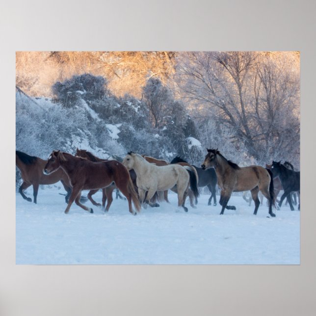Horse Drive in Winter on Hideout Ranch Poster (Framsidan)
