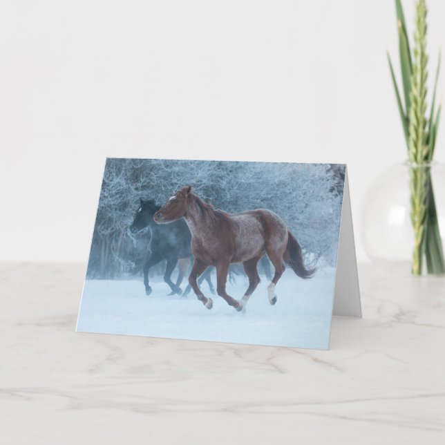 Horse Drive Kort (Framsida)