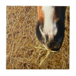 Horse Eating Hay Kakelplatta