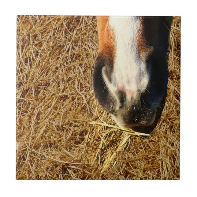 Horse Eating Hay Kakelplatta (Framsidan)