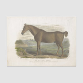 Horse Ephemera Decoupage Vintage Old Irish Hunter