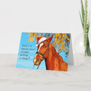 Horse Equine Santa Hat Funny julkort Helgkort