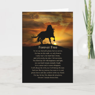 Horse Equine Sympathy Andlig Dikt Kort