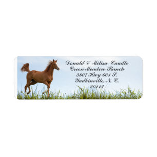 HORSE-ETIKETT RETURADRESS ETIKETT