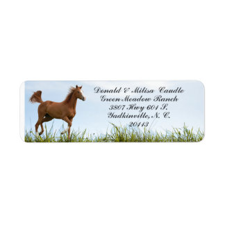 HORSE-ETIKETT RETURADRESS ETIKETT