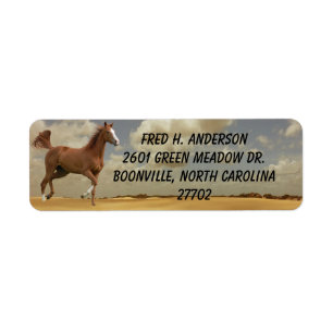 HORSE-ETIKETT RETURADRESS ETIKETT