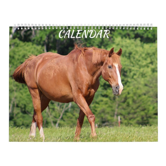 Horse Farm Bright Living Colorful Calendar Kalender (Omslag)