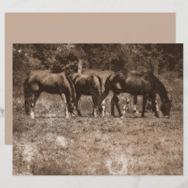 Horse Farm Vintage Land Rustic Sepia Western