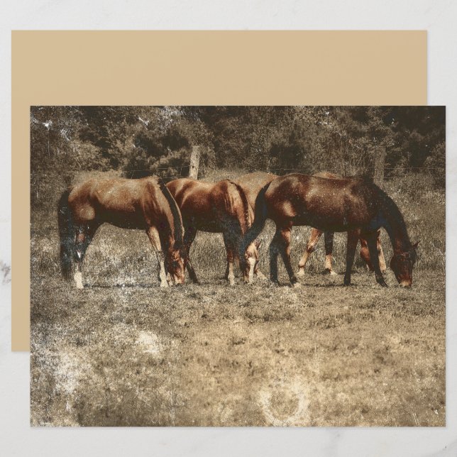 Horse Farm Vintage Land Rustic Western (Fram/baksida)