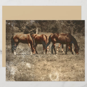 Horse Farm Vintage Land Rustic Western