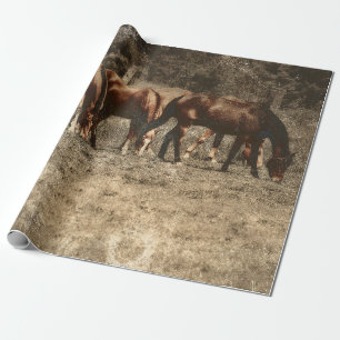 Horse Farm Vintage Land Rustic Western Presentpapper