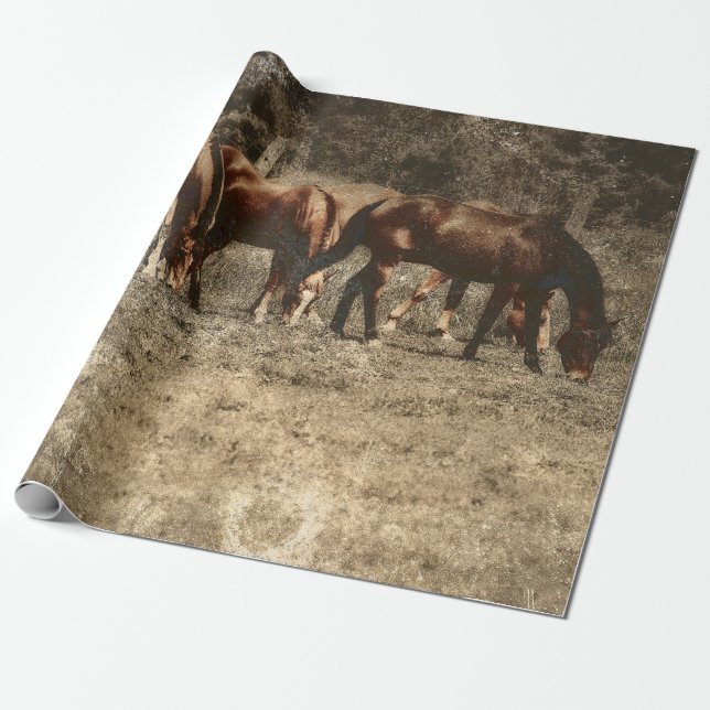 Horse Farm Vintage Land Rustic Western Presentpapper (Utrullad)