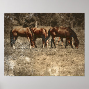 Horse Farm Vintage Land Rustic Westernare Poster