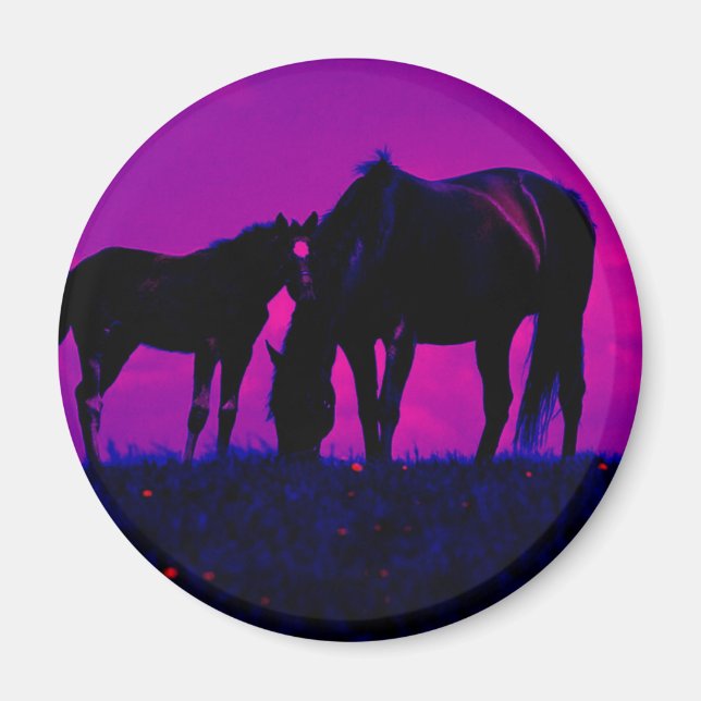 Horse & Filly Magnet (Framsidan)