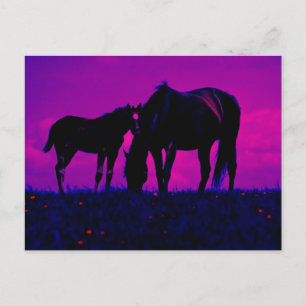 Horse & Filly Vykort