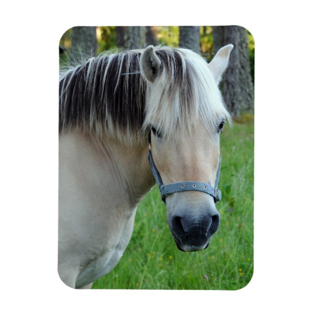 Horse Flexible magnet (Vertikal)