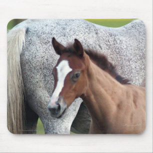 Horse Foal Art Mousepad Musmatta