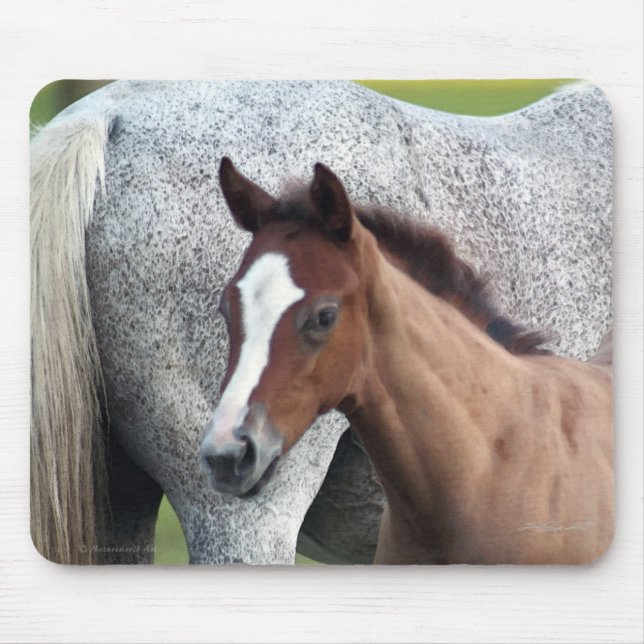 Horse Foal Art Mousepad Musmatta (Framsidan)