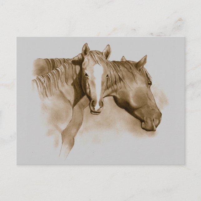 HORSE, FOAL: SEPIA: PENCIL ART VYKORT (Framsida)