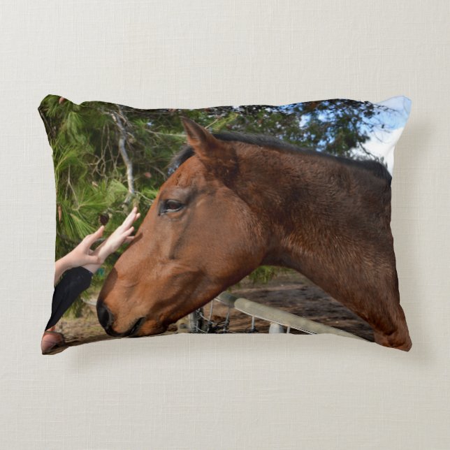 Horse Friend Forever Prydnadskudde (Framsidan)