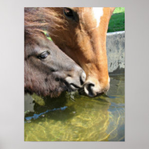 Horse Friends A Drink Poster