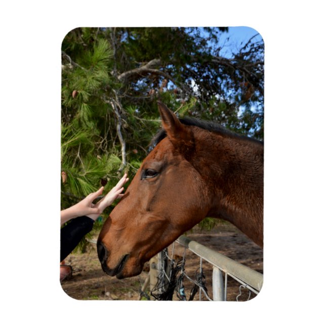 Horse Friends Forever, Flexible Magnet (Vertikal)