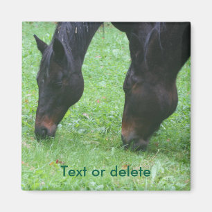 Horse Friends Grazing Animal Personlig Magnet