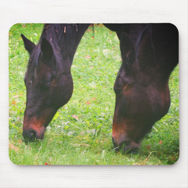 Horse Friends Grazing Musmatta (Framsidan)