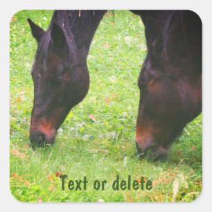 Horse Friends Grazing Personlig Fyrkantigt Klistermärke