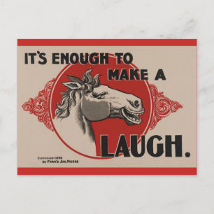 Horse Funny Post Card Vykort