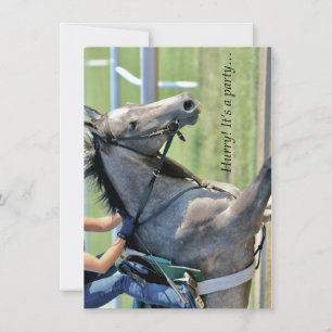 Horse Galloping - Saratoga - Inbjudan