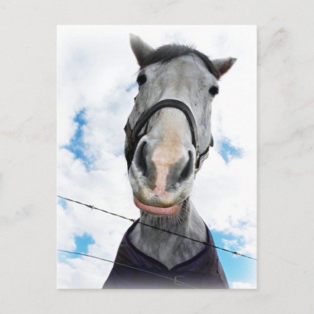 Horse Get Lippy - Funny Ansikte Vykort (Framsida)