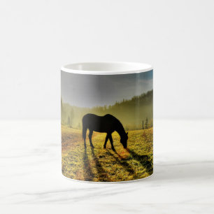 Horse Grasing at Sunrise in Misty Fält Photo Kaffemugg