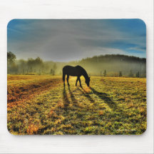 Horse Grasing at Sunrise in Misty Fält Photo